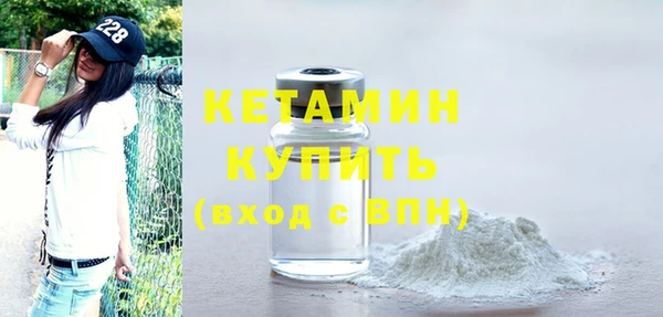 шишки Новозыбков