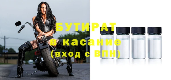 шишки Новозыбков