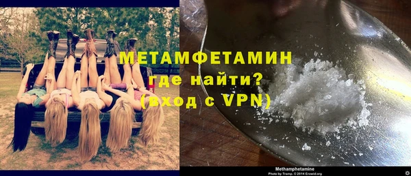 шишки Новозыбков