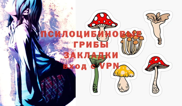 шишки Новозыбков