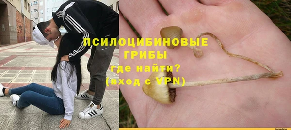 таблы Няндома