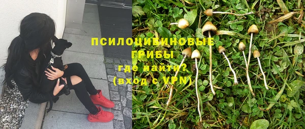 таблы Няндома