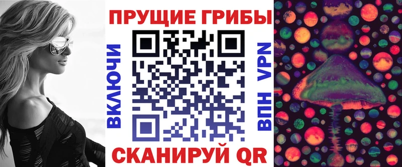 Псилоцибиновые грибы Cubensis  как найти   Борисоглебск 