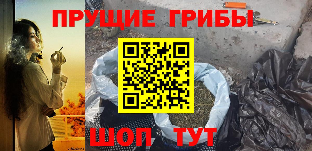 Борисоглебск  Галлюциногенные грибы Psilocybe  Галлюциногенные грибы Psilocybine cubensis  Вход с VPN 