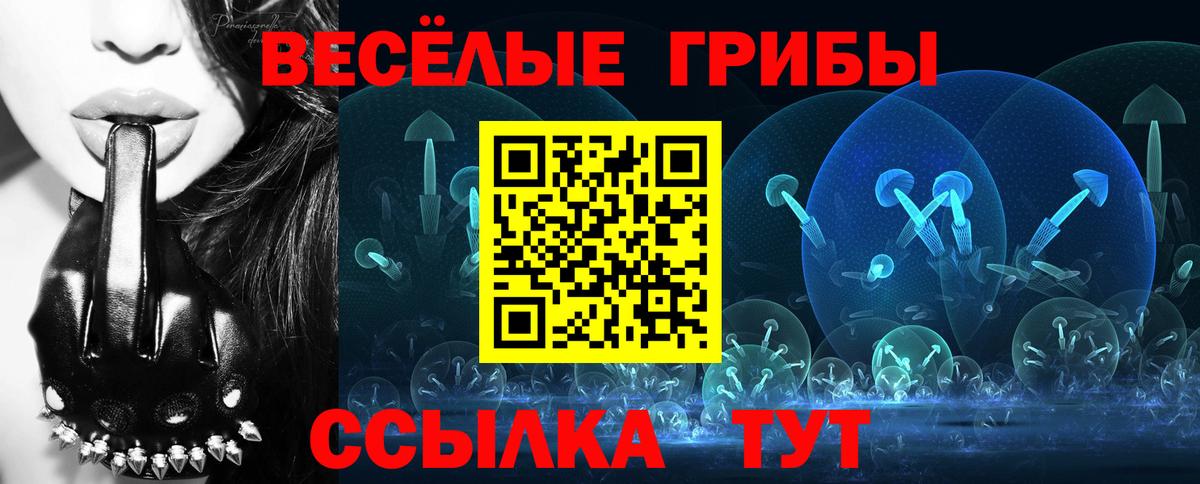Галлюциногенные грибы GOLDEN TEACHER  Борисоглебск 