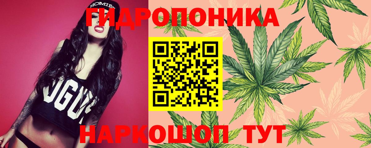 Каннабис планчик Борисоглебск